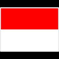 印度尼西亚U20
